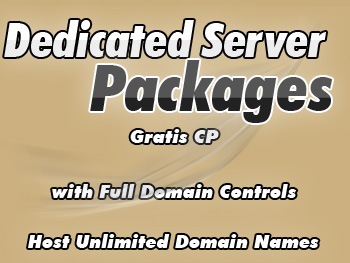 Cheap dedicated hosting server plans